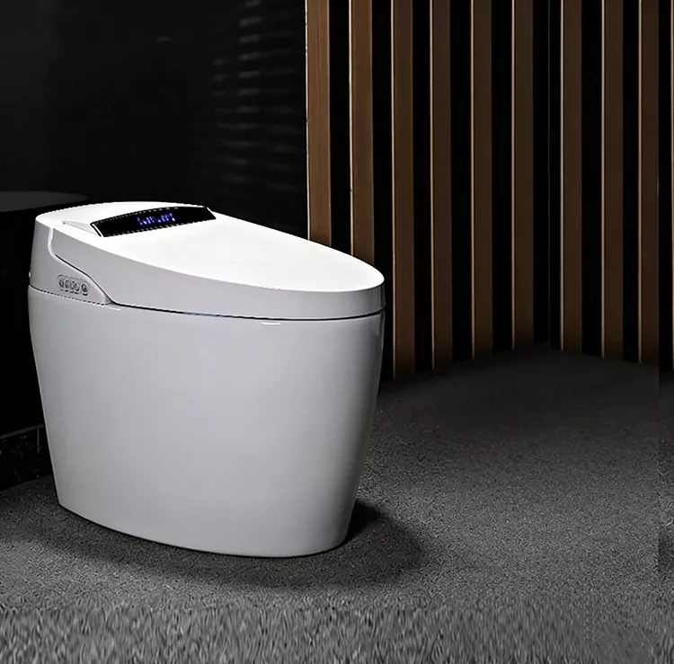 Toilet Smart Flip-Top air a ruith le cas